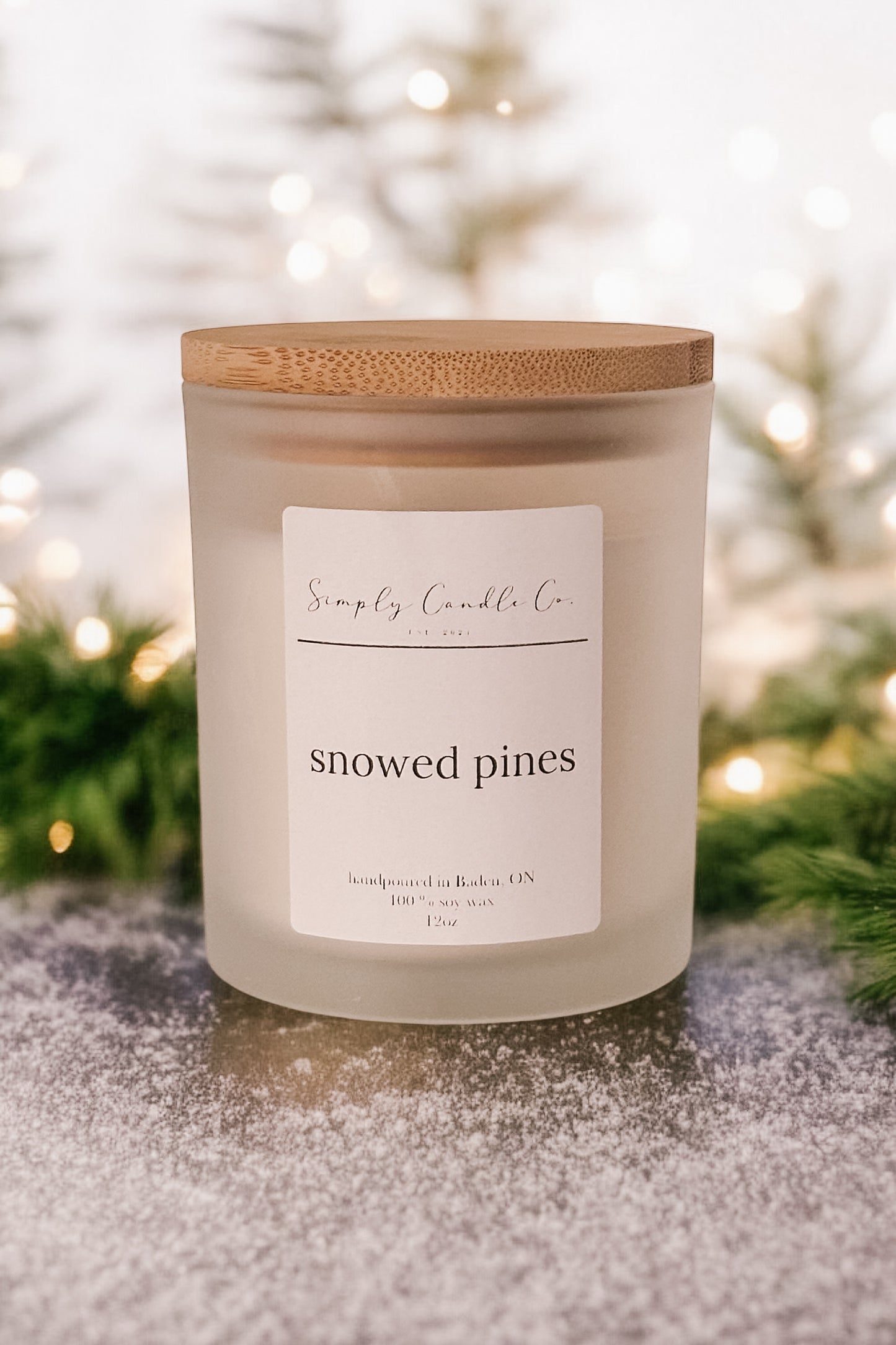 Snowed Pines